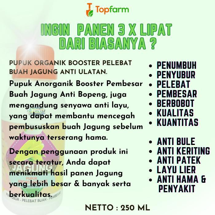 Mantabetul Pupuk Jagung / Booster Jagung / Pupuk Pembesar Jagung / Pupuk Penyubur Tanaman Jagung /