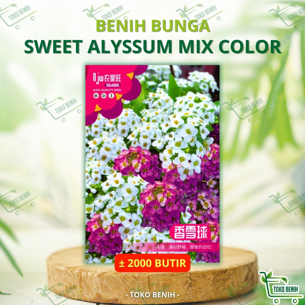 ± 2000 BUTIR BENIH IMPORT BUNGA SWEET ALYSSUM MIX COLOR KEMASAN PABRIK