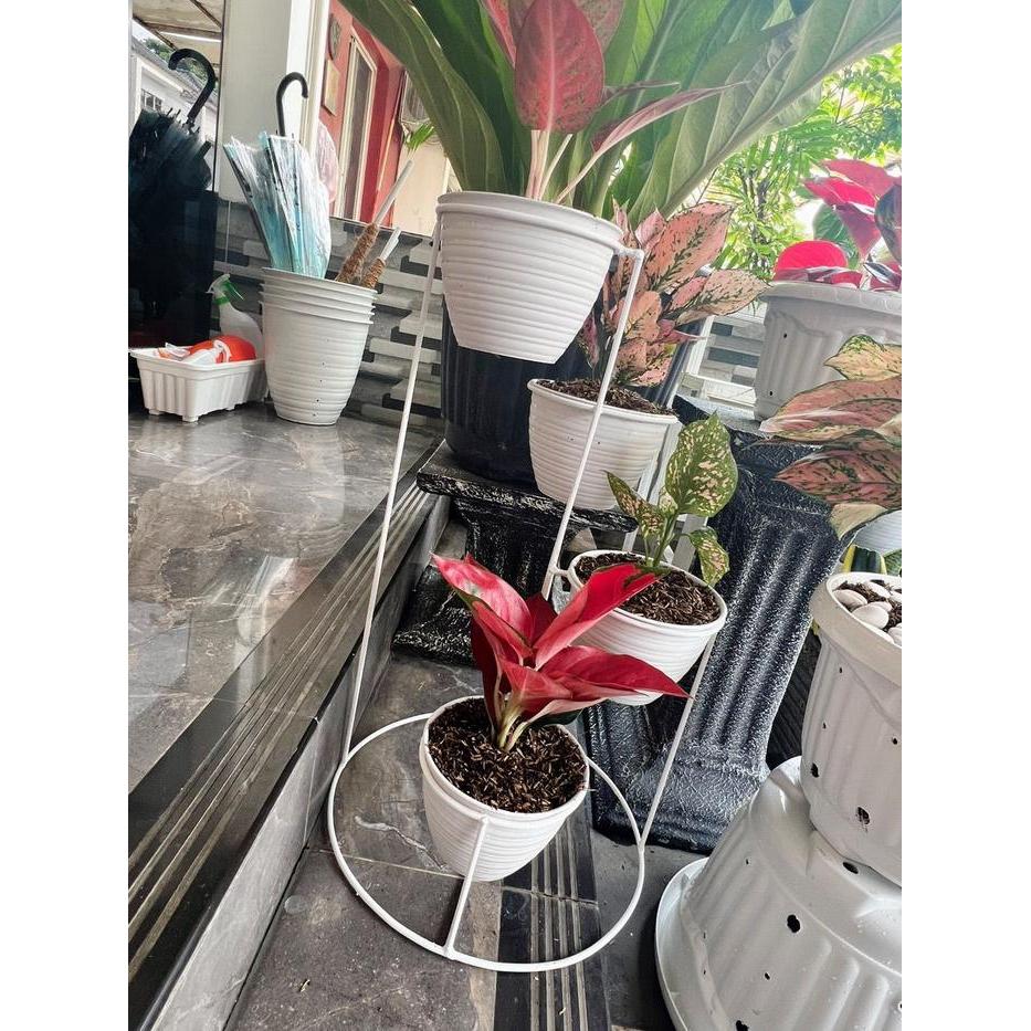 Mantabetul Pot Bunga Besi / Standing Pot Lingkaran 4In1 / Rak Bunga Besi / Standing Pot Besi / Rak