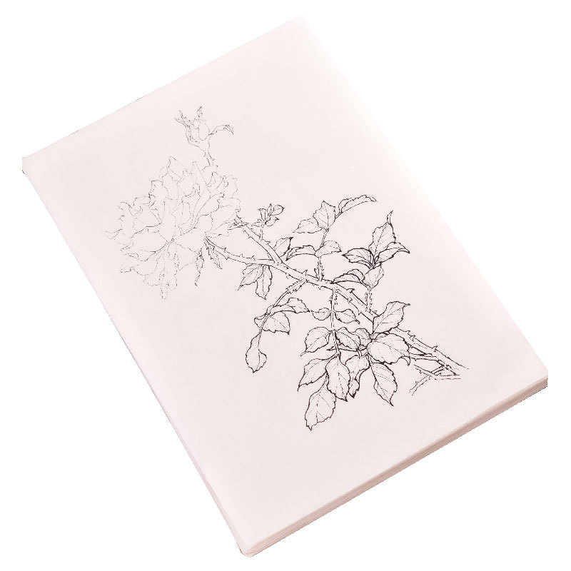 Flower Line Drawing Tracing Paper Chinese Tree Branch Flowers Manuscript Painting Drawing Copybooks 
