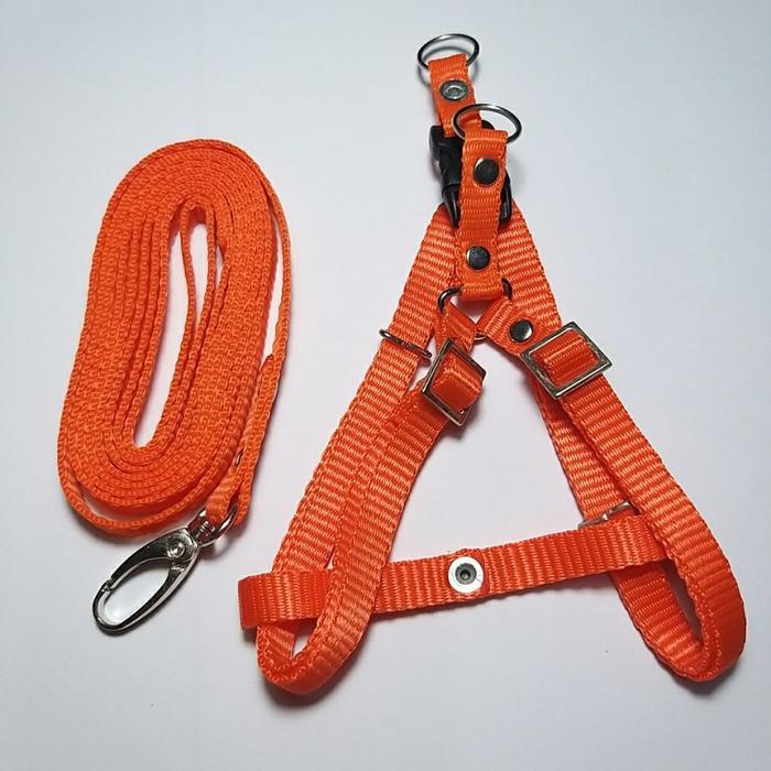 Harnes Kucing Kalung Tali Tuntun Panjang Murah