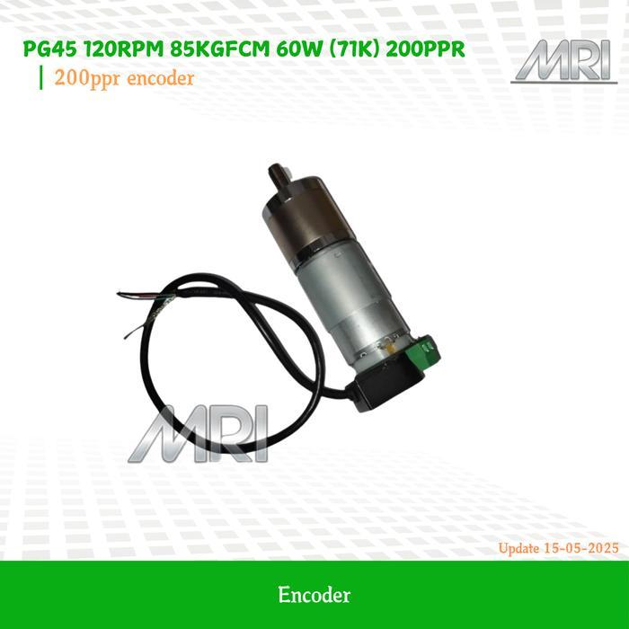 PG45 120Rpm 85kgfcm 60W (71k) 200ppr