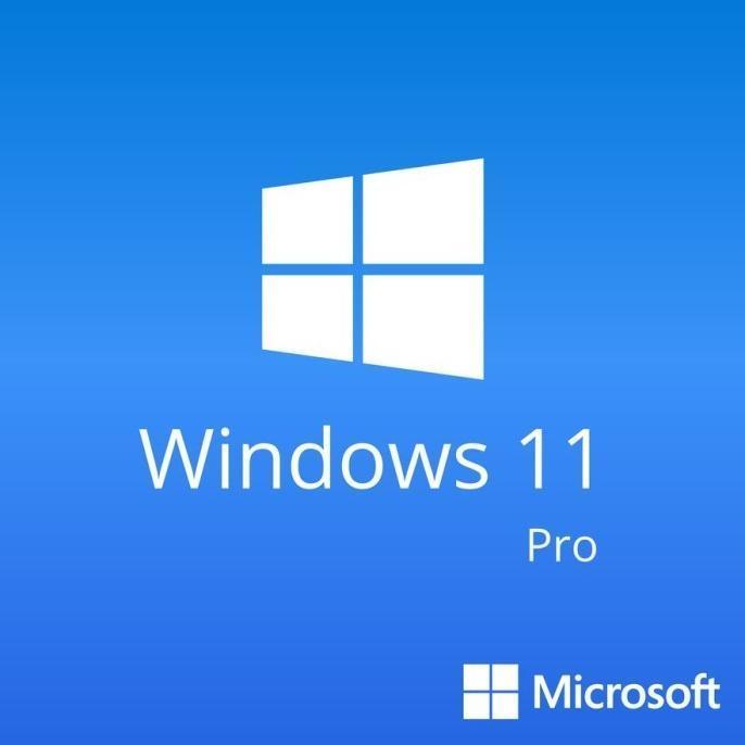 Windows 11 Pro / Windows 10 Pro COA Lisensi