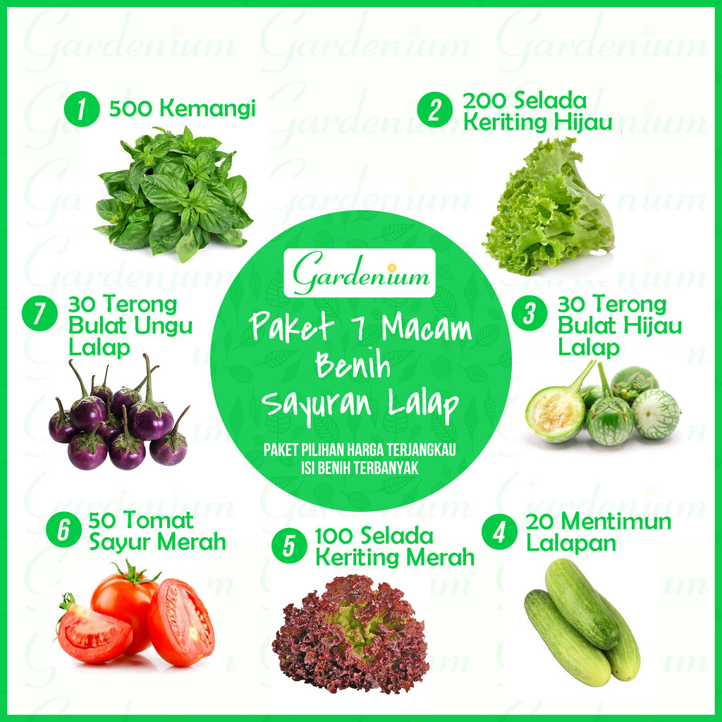 Paket 7 Macam Benih Sayuran Lalap ( Kemangi Terong Selada Merah Mentimun Tomat Sayur )