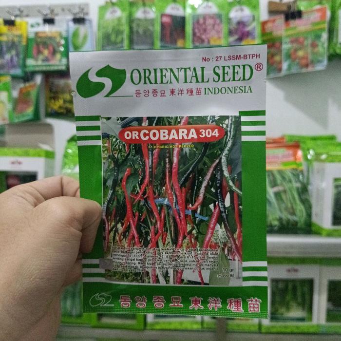 benih cabai keriting or cobara 304 - oriental seed isi 10gram/-+2000biji