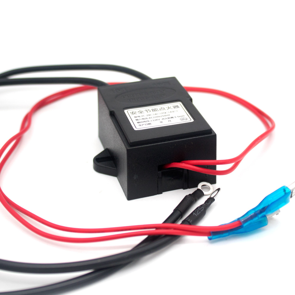 Ac 220V High Voltage Igniter For Hotel Electronic Fuel Stove Efi Oil Stove 15Kv Pulse High Voltage