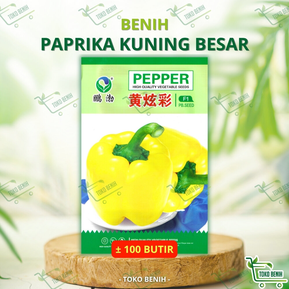 ± 100 BUTIR BENIH IMPORT PAPRIKA KUNING BESAR KEMASAN PABRIK