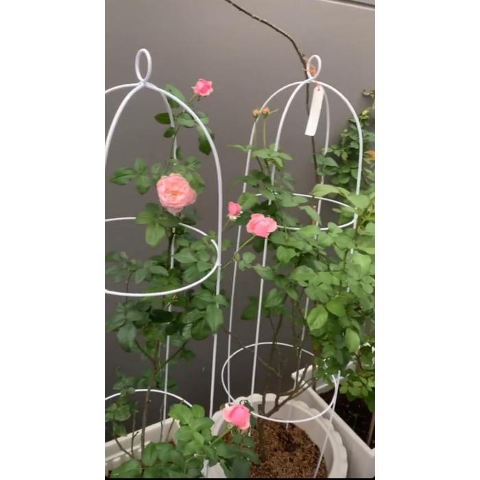 Rak Bunga Tanaman Rambat Model Sangkar
