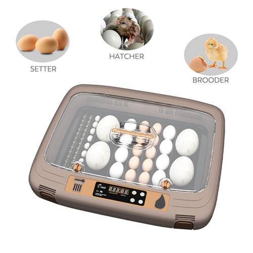50 Egg Incubator Penetas Telur PREMIUM Humidity Control n Otomatis