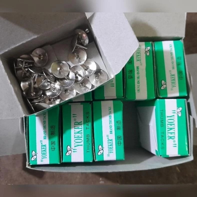 paku sekrup Pines / paku sekrup Payung