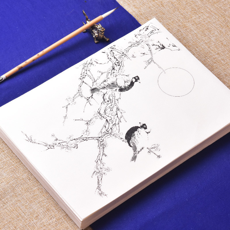 Flower Bird Tracing Drawing Manuscript Line Drawing Tracing Paper Beginner Chinese Watercolor Painti