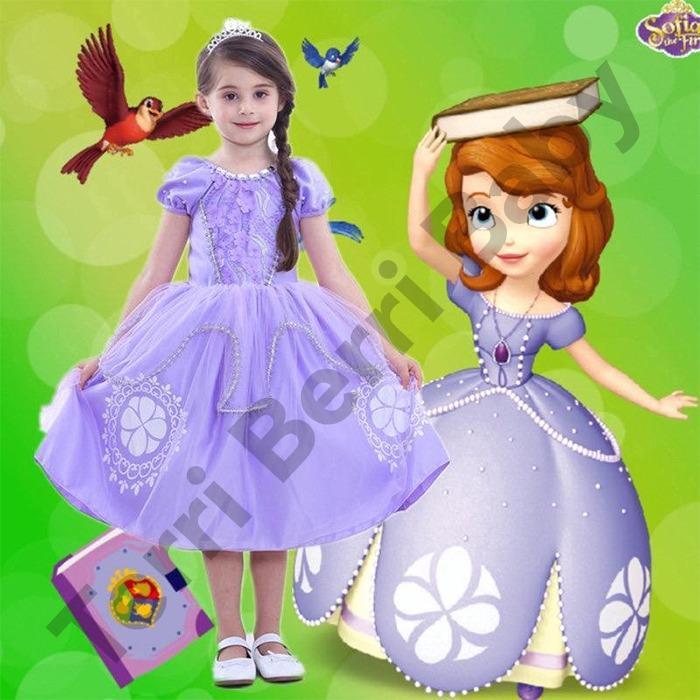 Kostum Sofia The First Sofia Dress Gaun Sofia The First Costume Anak