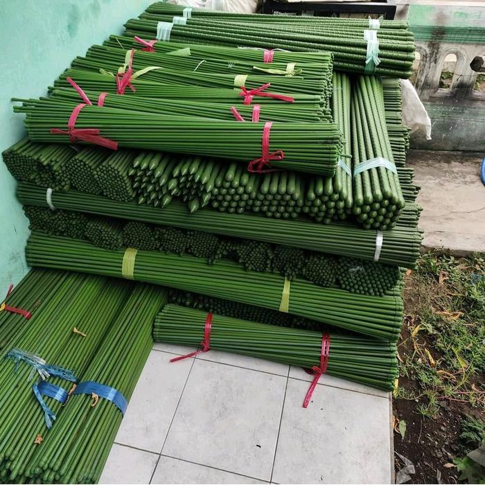Lubis Gardening Plant Stake /Ajir Academic, Penyanggah Tanaman Anggur