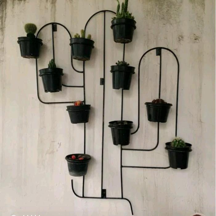 Digazsin_ Rak Pot Kaktus Tempel Dinding / Rak Kaktus Dinding / Rak Bunga Kaktus