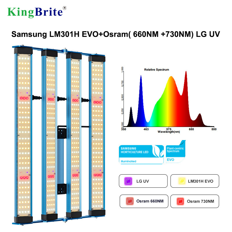 2025 Kingbrite P55 240W Led Grow Light Lm301H Evo With Osr 660Nm Uv Ir Grow Bar For Tent 60*60Cm Or