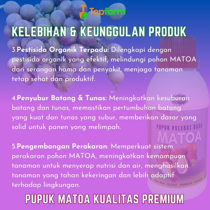 Lubis Gardening Pupuk Matoa - Booster Matoa / Booster Pembesar Buah Matoa / Pupuk Pelebat Buah Matoa