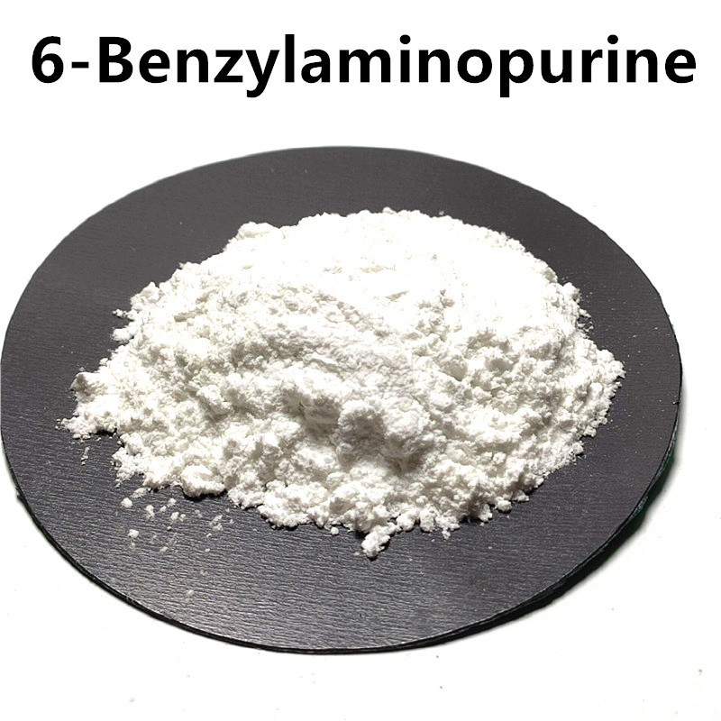 100g 6-Benzylaminopurine BAP 6 Cytokinin Hormone Plant Growth PGR