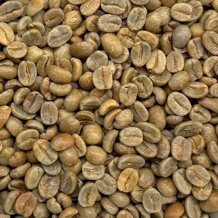 PANAMA ESMERALDA DIAMOND MOUNTAIN 24 GREEN BEANS