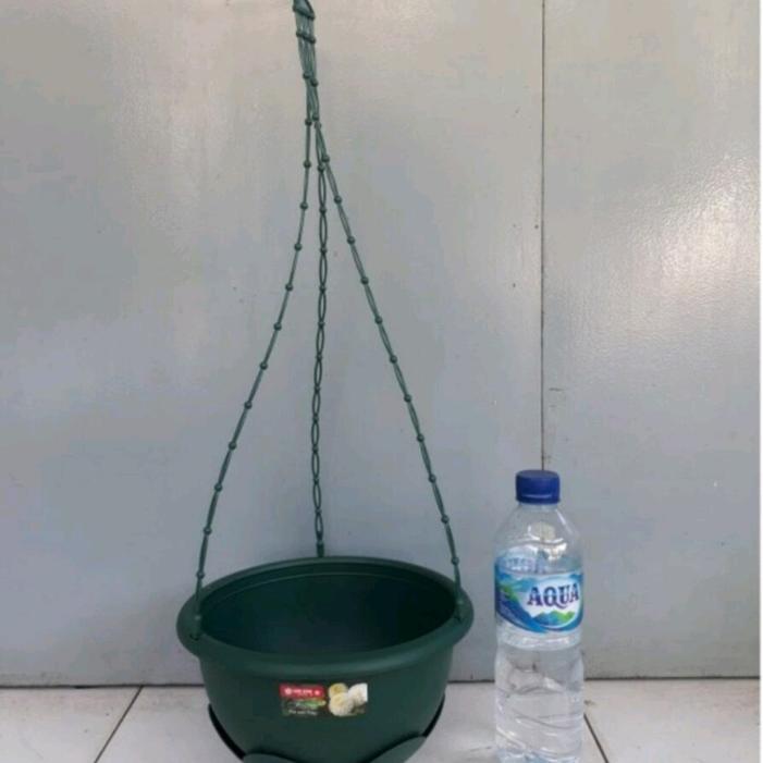 Chantelna_ Pot Gantung Lion Star 8, Pot Gantung Hijau, Pot Tanaman Hias