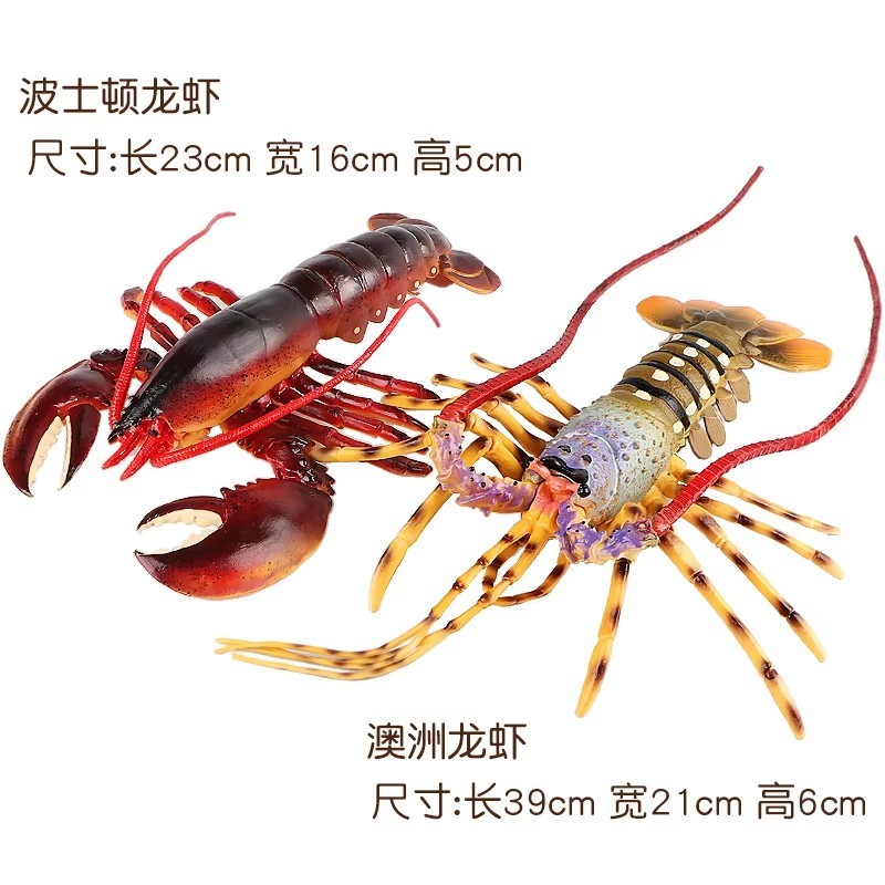 Artificial Lobster Simulation Lobster Model Large Australian Lobster Boston Lobster Seafood Model
