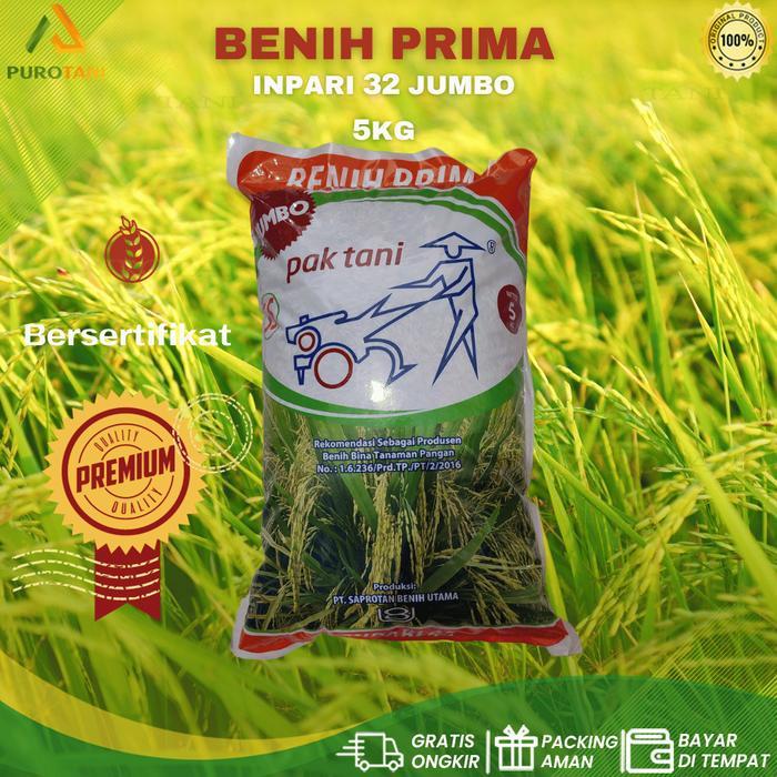 Puro Benih Padi INPARI 32 jumbo Pak Tani 5kg Benih Prima Paktani SS TERBAIKEW803