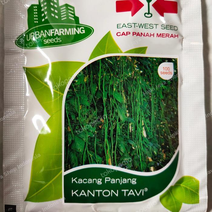 ] Benih Kacang Panjang Kanton Tavi Panah Merah