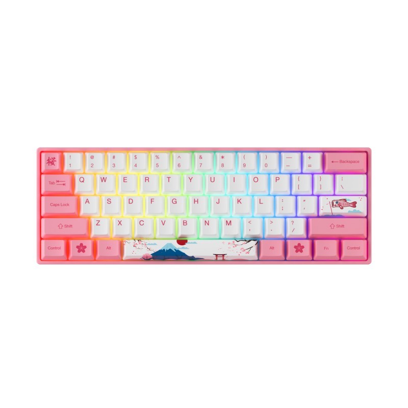Akko 3061S-HE World Tour Tokyo Wired Mechanical Keyboard RGB Magnetic Switch 8000Hz Polling Rate Rap