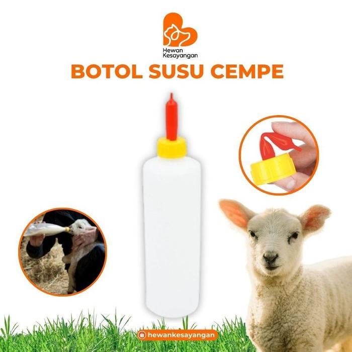 Dot Botol Cempe Dot Anak Kambing Domba dll