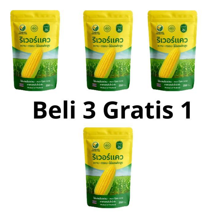 Gardening Mikha (Jagung Thailand) Sungai Kwai - Benih Jagung Raksasa Thailand