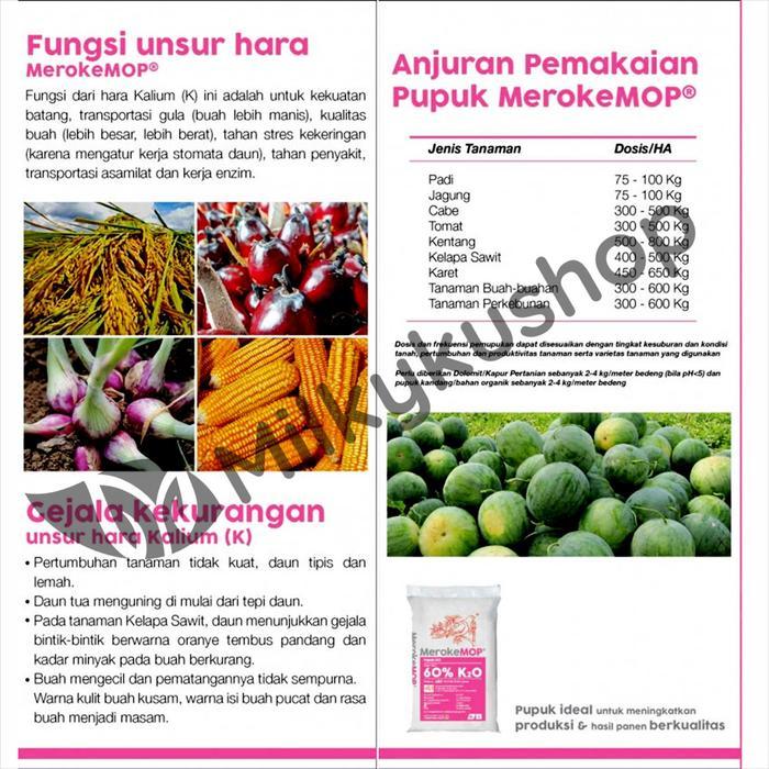 Digazsin_ Pupuk Meroke Mop Kcl 50 Kg Kemasan Pabrik Via Cargo