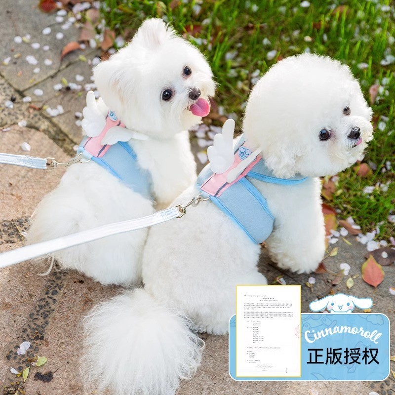 Summer pet out on a leash, dog leash, small dog, teddy cat, dog leash, vest type dog leash