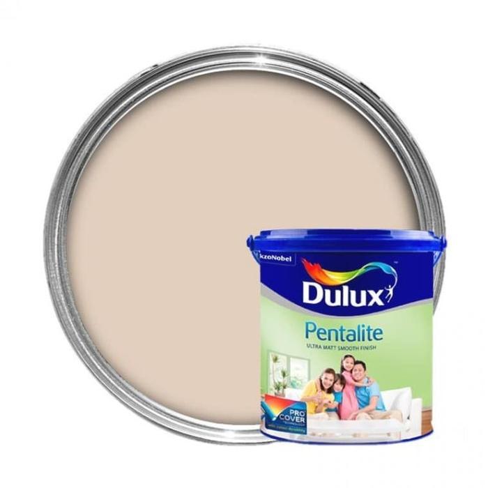 1xch- Dulux Pentalite 922D Base D 20L
