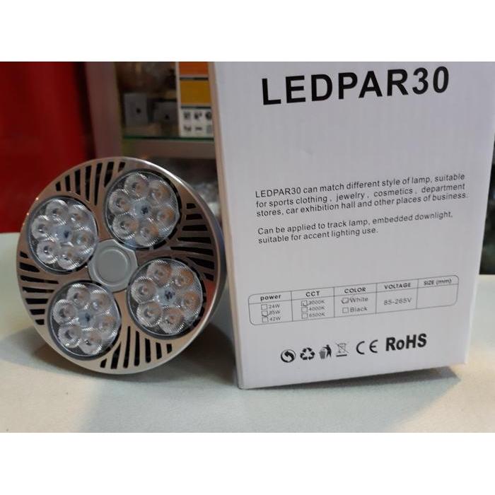 Yamasaki Led Par30 35 Watt