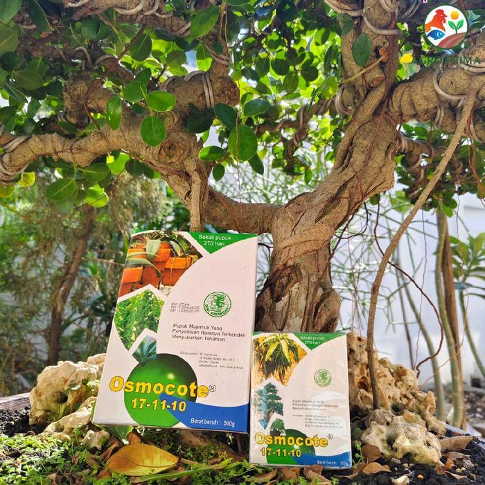 Mantabetul Pupuk Osmocote 500 Gram Pupuk Bonsai Pupuk Dekastar Osmocote