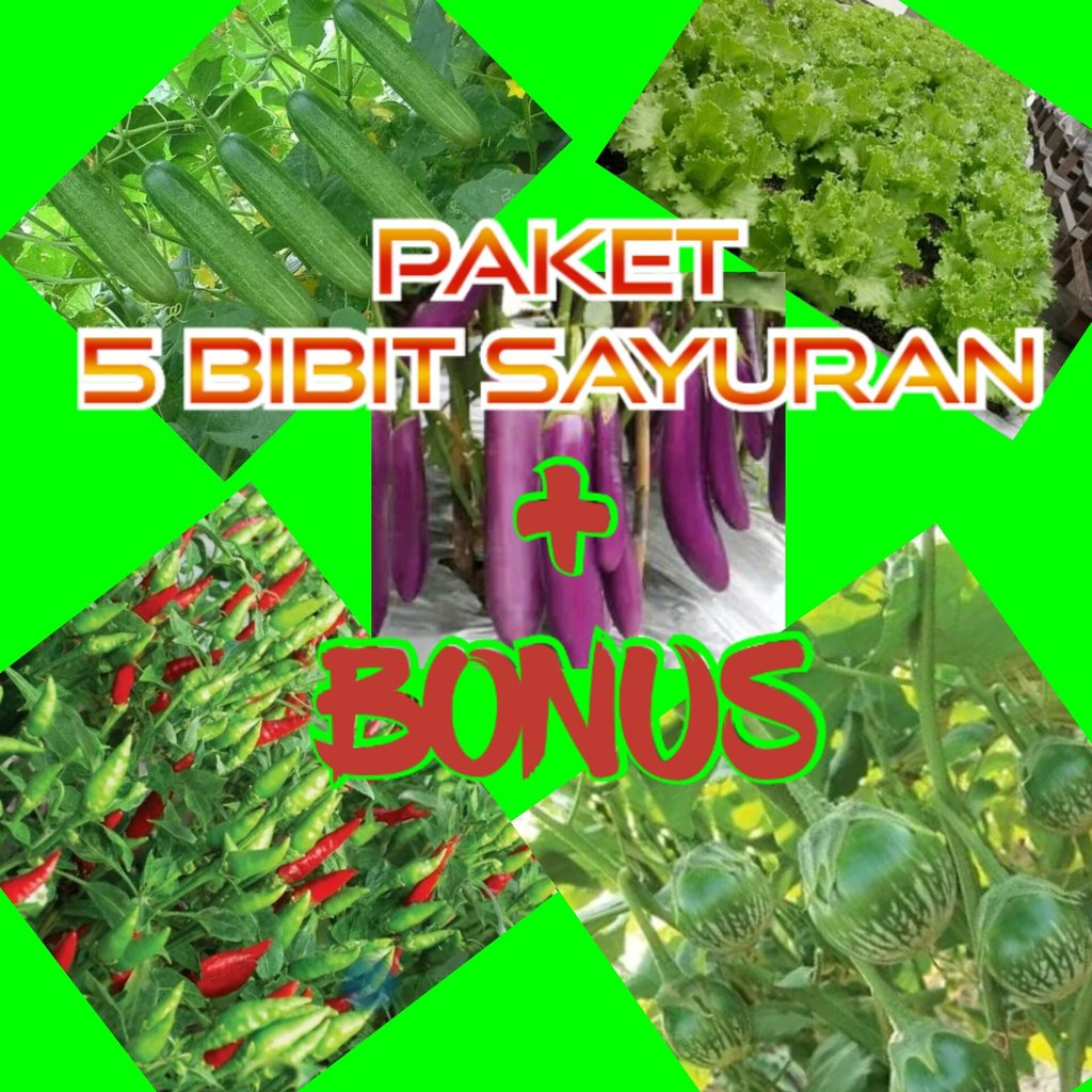 PAKET BIBIT SAYURAN ,kemasan Repack. siap COD