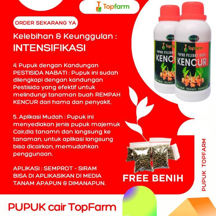 Chantelna_ Pupuk Kencur Cair / Booster Kencur / Pupuk Pembesar Kencur / Pupuk Penyubur Tanaman