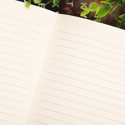 Special Offers Lenwa Notebook B5 Star Kraft Series Diary Book Notebook Notepad