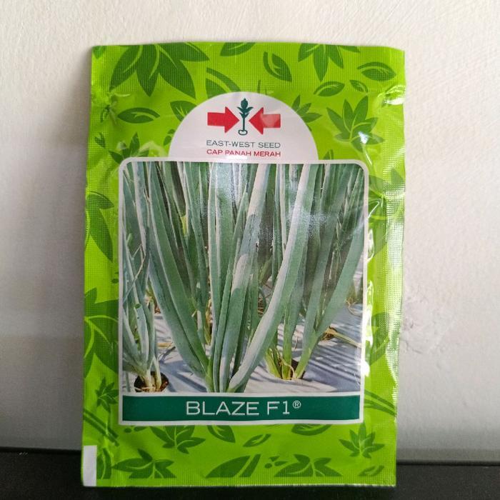 Lubis Gardening Benih Bawang Daun Blaze Hibrida Panah Merah