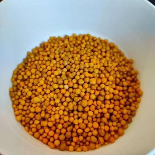 Mantabetul Pupuk Osmocote 14-14-14 Kemasan 250 Gram