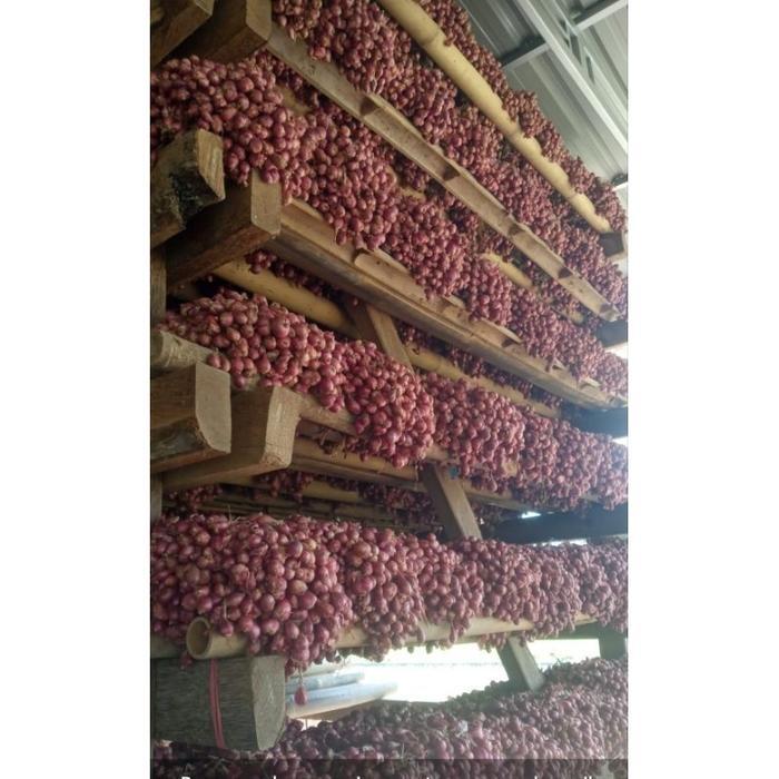 Digazsin_ Paket 10Kg Bibit Bawang Merah Brebes A1 Bersertifikat Dinas Pertanian Jateng 7-7