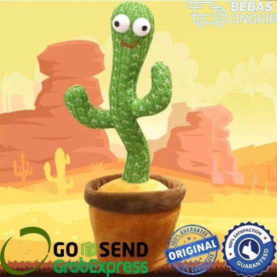 Boneka Kaktus Bicara - Dancing Cactus Toy Bisa Bicara