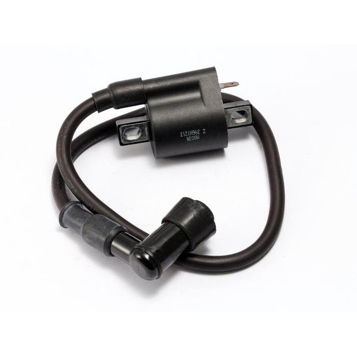 COIL, IGNITION DAYTONA ANIMA