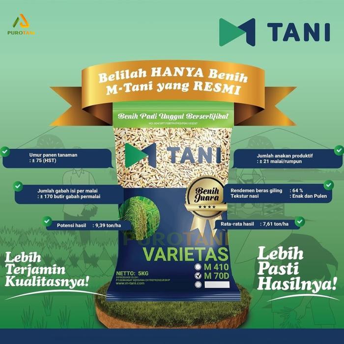 Puro Bibit Padi M70D M70 Benih M-70 M Tani 5KG STOK TERBATASZY880