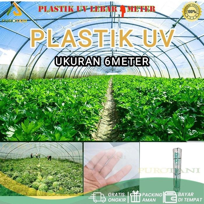 Puro Plastik Ultraviolet Juara UV Green House Tanaman Tebal 170 Micron 14 % Lebar 6 M PERMETER