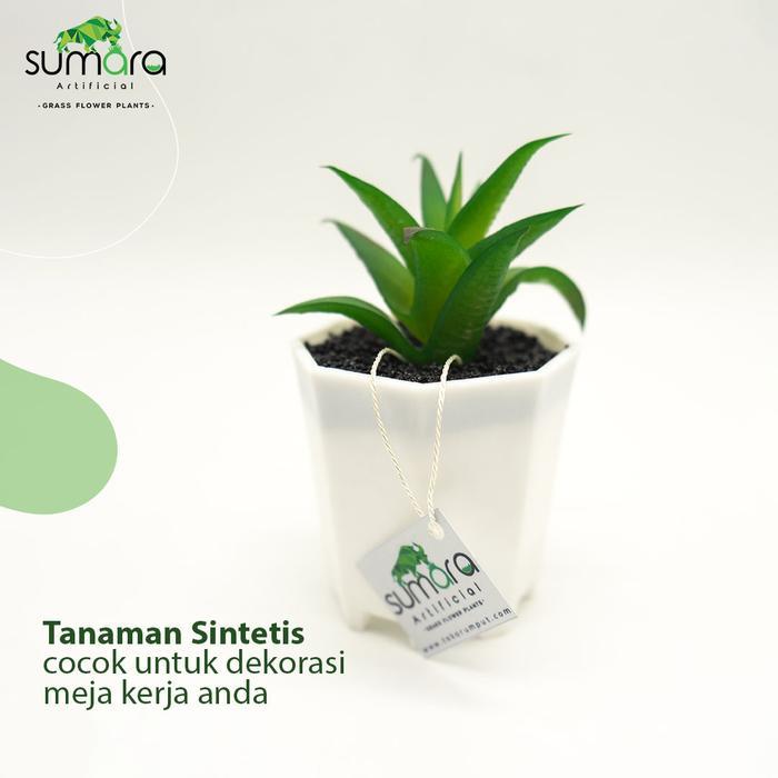 Tanaman Sintetis / Tanaman Palsu / Tanaman Artificial Lidah Buaya Mini