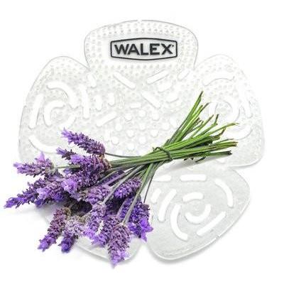 Pewangi Urinoir/Pengharum Tempat Kencing Pria/Kamper Urinoil Toilet