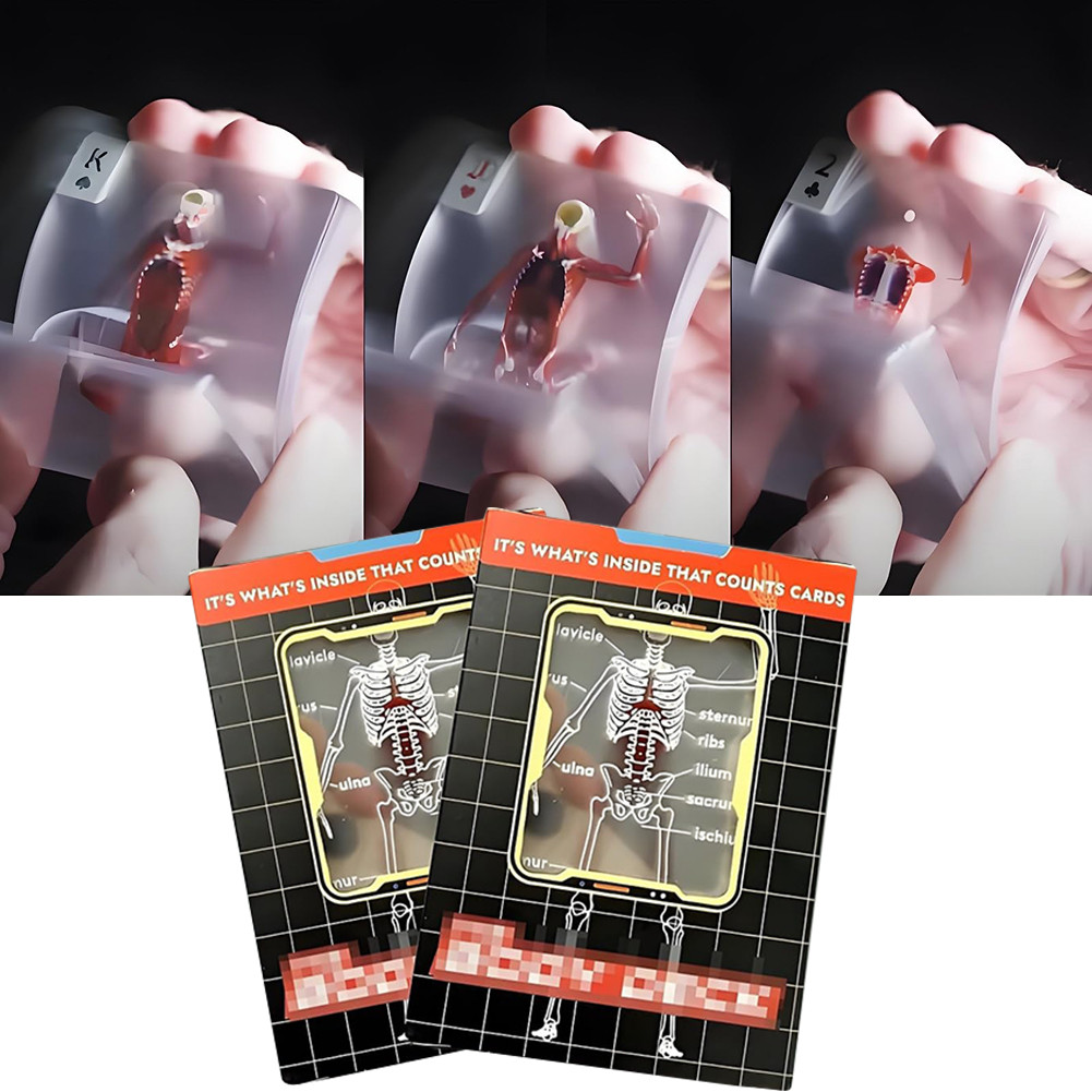 Human Anatomy Playing Cards Full Skeleton Human Body Poker Card Transparent Discover The Wonder of