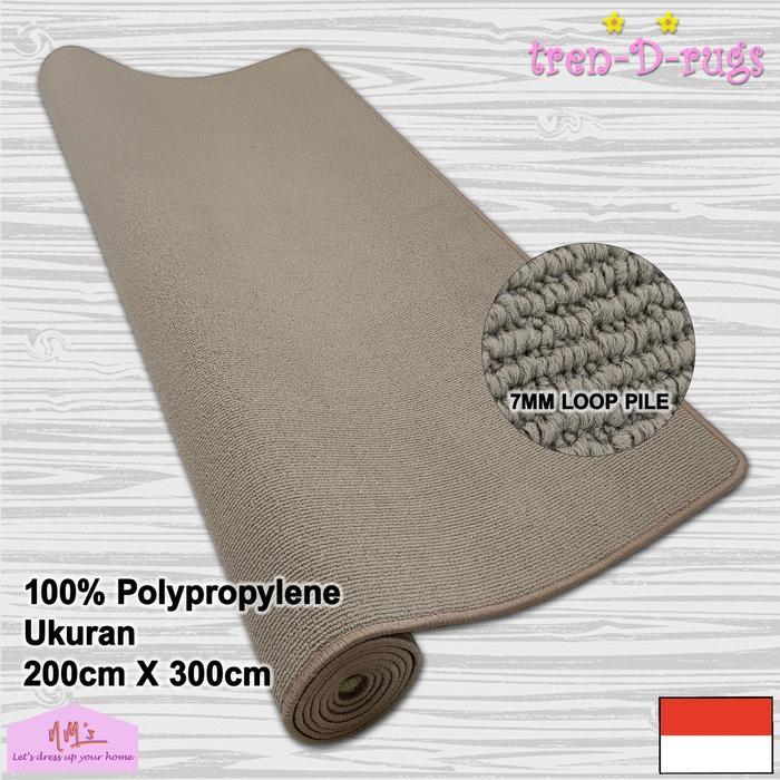 Karpet polos jumbo lantai bulu permadani tebal minimalis 200x300