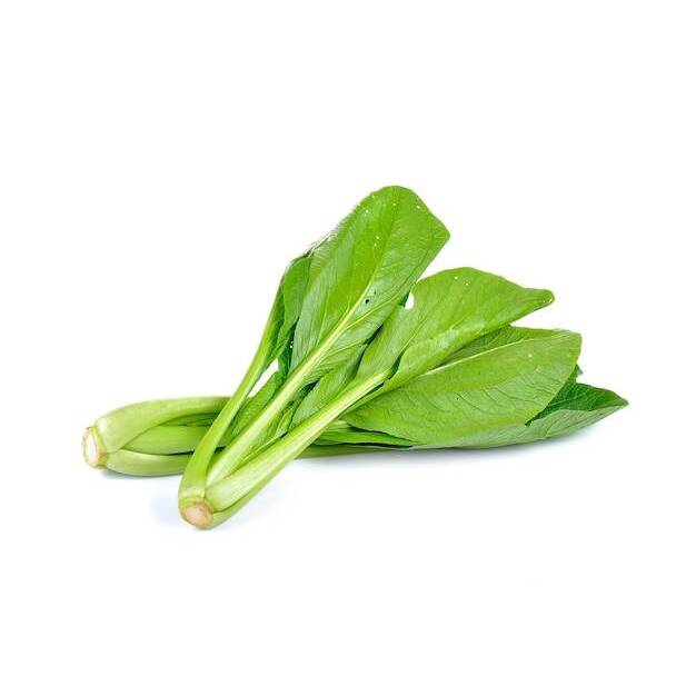 benih 1000an benih sayuran lengkap isi lebih banyak / bibit sayuran lengkap