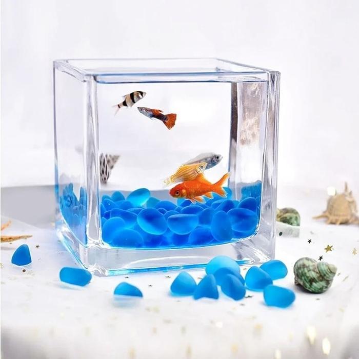 Aquarium Mini Kaca Kotak 12cm Minimalis / Akuarium Ikan Kecil Aesthetic Segi Empat / Square aquarium